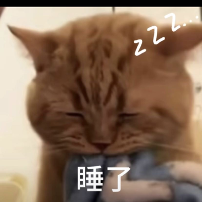 宠物头像